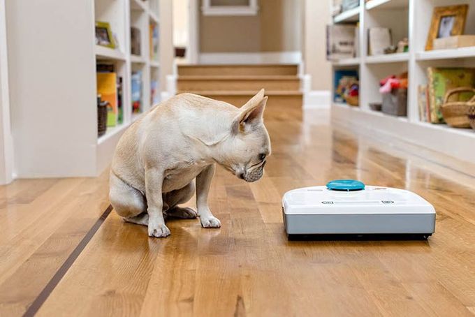 The most common problems of robotic vacuums