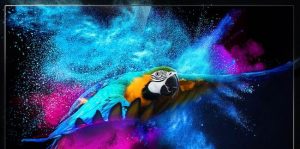 TCL QLED 4K C715 and C815 Overview - The Appliances Reviews