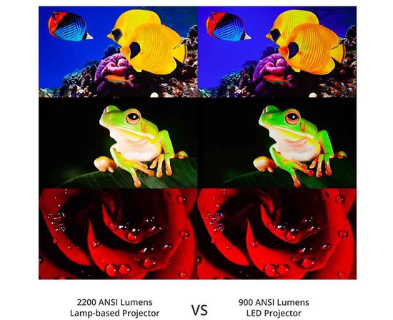 ANSI lm vs LED lm