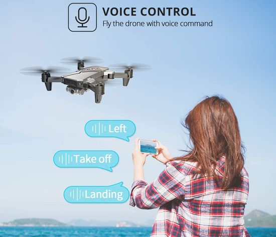 D20 drone voice control
