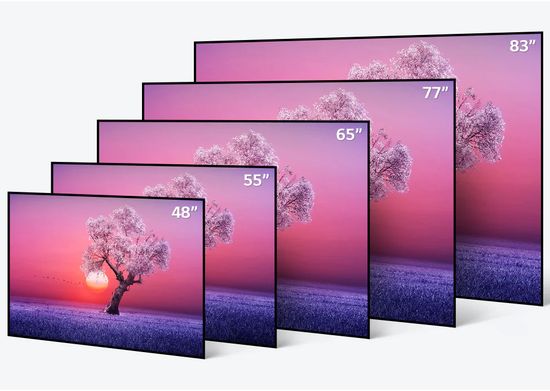 LG C1 OLED TV size