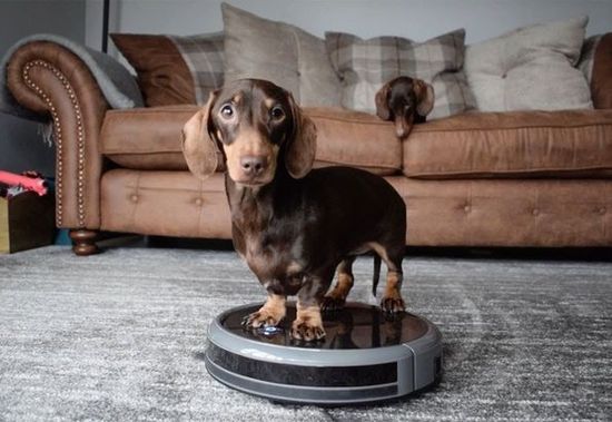 Robotic vacuum