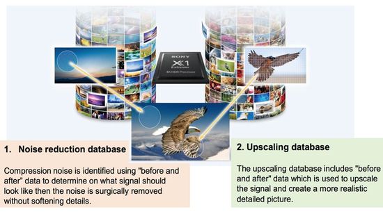 Sony Dual Database Processing