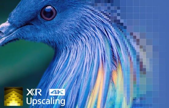 Sony XR 4K Upscaling