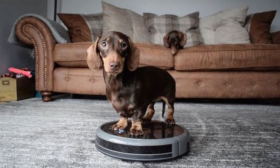 Robot vacuum