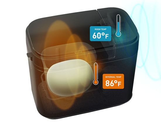 Double temperature sensor