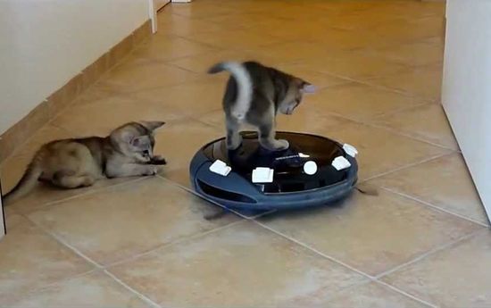 Robot vacuums Pets