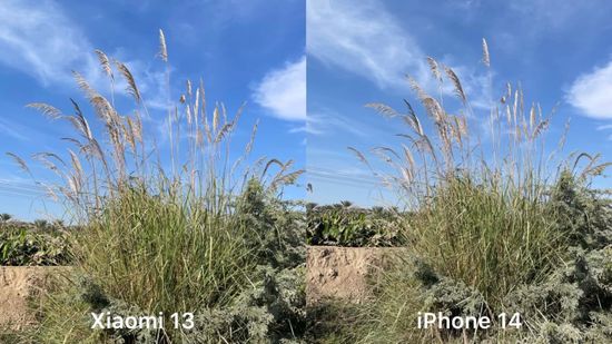 Xiaomi 13 vs iPhone 14 Foto