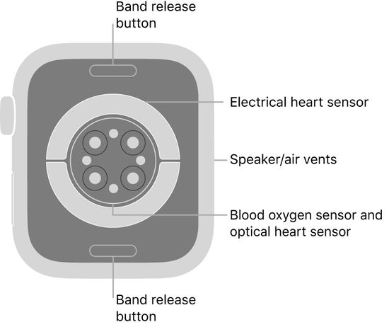 Apple Watch Series 9 sensors