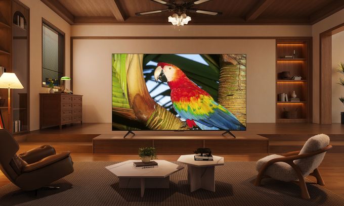 TCL TVs 2024