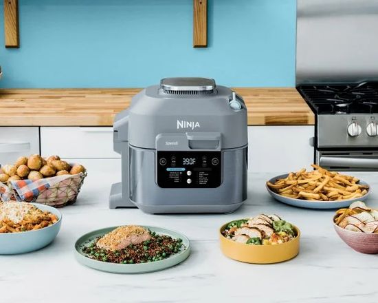 Ninja Speedi 10-in-1 rapid cooker