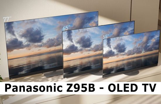 Panasonic Z95B size