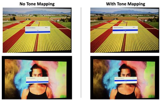 Epson dynamic tone mapping