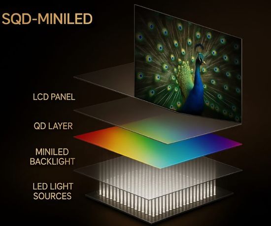 SQD-miniLED