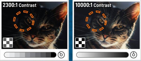 Image contrast ratio